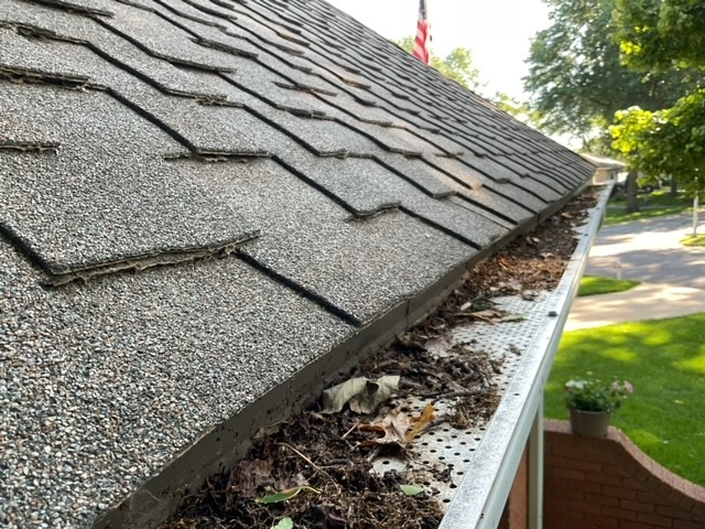 gutter-screen-clogged-with-debris