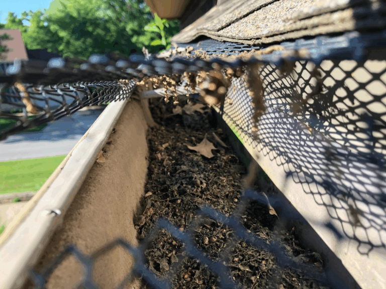 gutter-screen-leading-to-gutter-clog